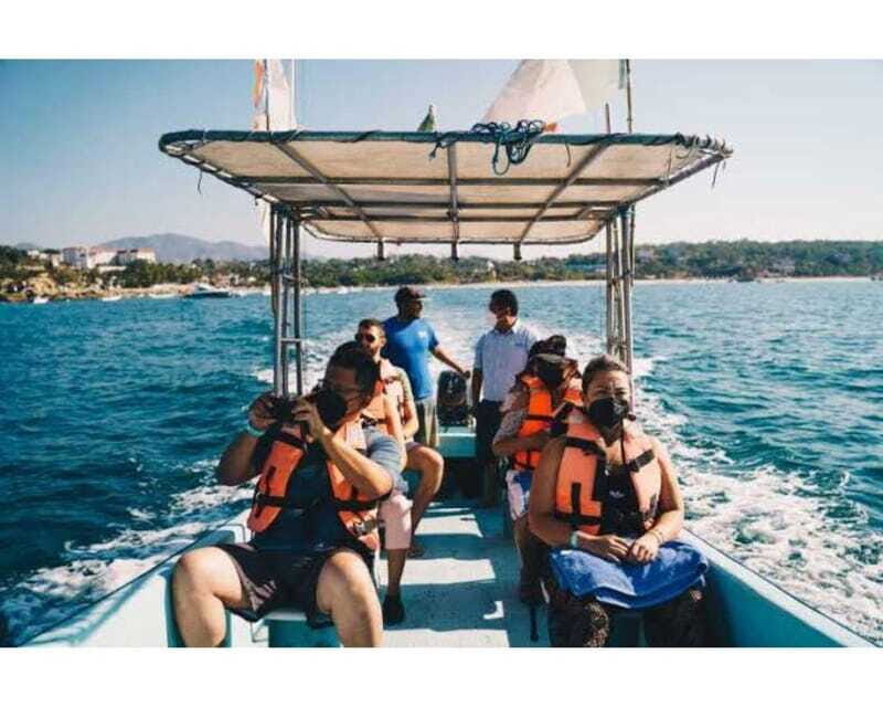 Dolphins and whales watching in Puerto Escondido. - What to Expect from the Dolphin and Whale Watching Tour