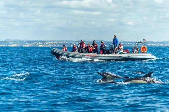 Dolphins & Caves on Rib Boat - Discover the Algarve Coast from a New Angle with the Dolphins & Caves on Rib Boat Tour
