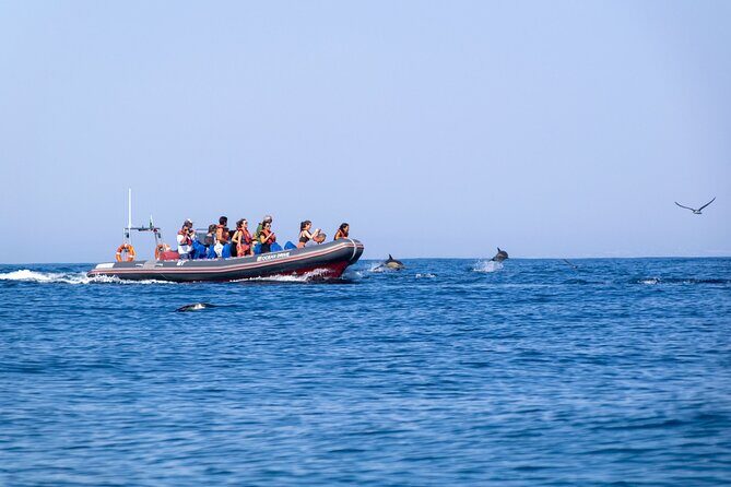 Dolphins & Caves on Rib Boat - Frequently Asked Questions