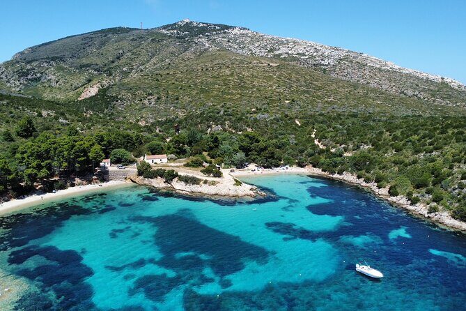 Dolphins Circus tour in Small group - Dolphins Circus Tour in Small Group: A Compact Sardinian Sea Adventure