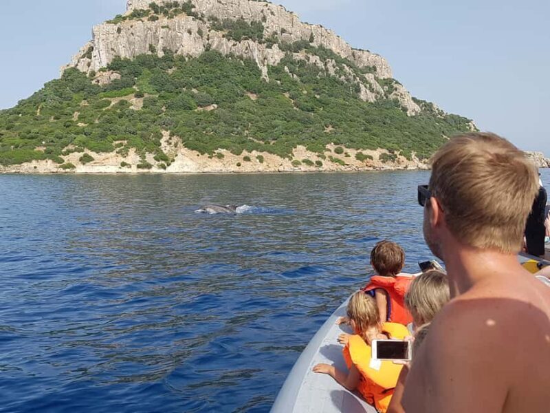 Dolphins: Dolphin Watching Tour and Capo Figari by Raft - A Closer Look at the Sardinian Dolphin Tour