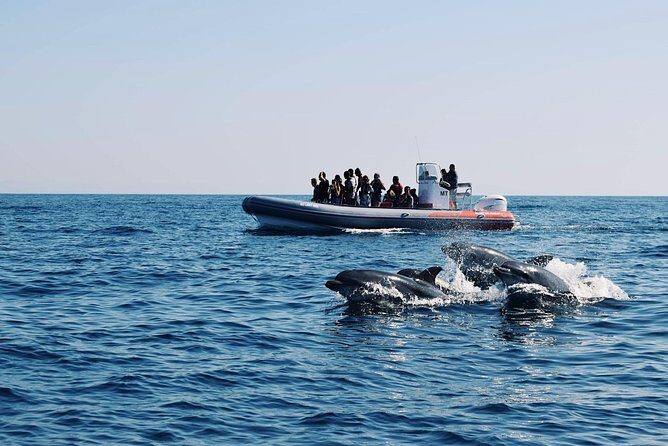 Dolphins Search and Benagil Caves from Albufeira - Dolphins Search and Benagil Caves from Albufeira: An Authentic Marine Adventure