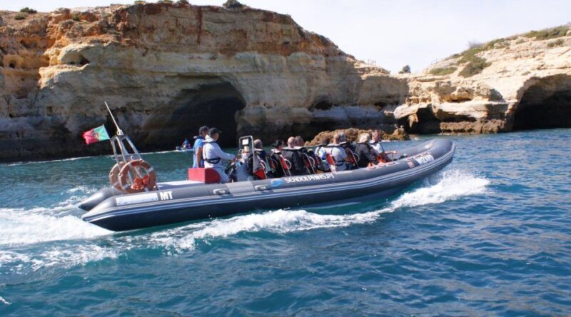 Dolphins Watching - Portimão - Key Points