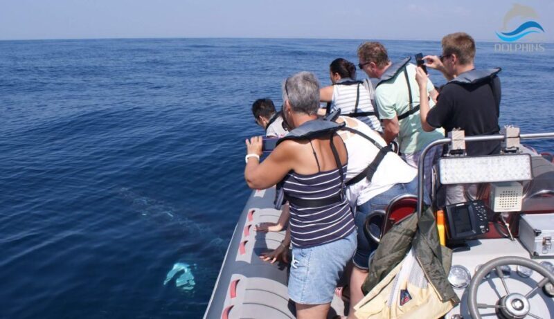 Dolphins Watching - Portimão - FAQ