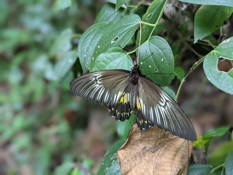 Dolukanda Hiking Adventure  Healing Rock of Aristhana - Who Is This Tour Best For?