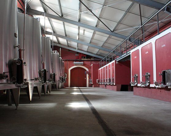Domain visit - Discovering Château de la Selve: A Two-Hour Organic Wine Experience in Ardèche