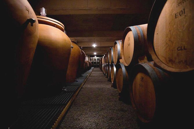 Domain visit - A Close Look at the Château de la Selve Tour: What to Expect