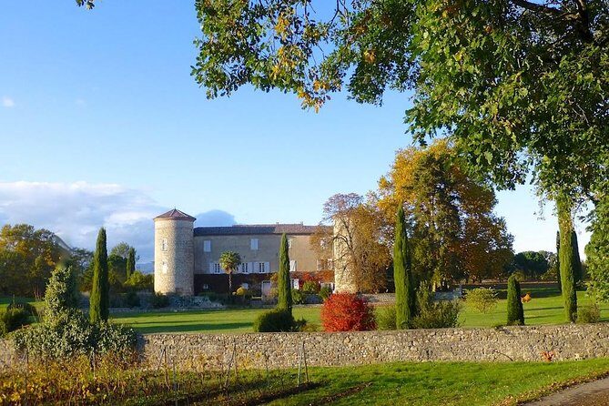 Domain visit - The Tasting Session: Nine Vintages