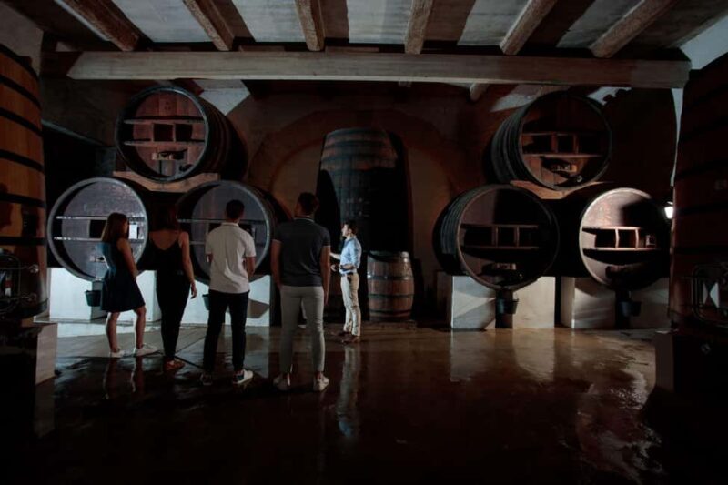 Domaine de Soustres, Montady : Visit and Tasting - Who Will Love This Tour?