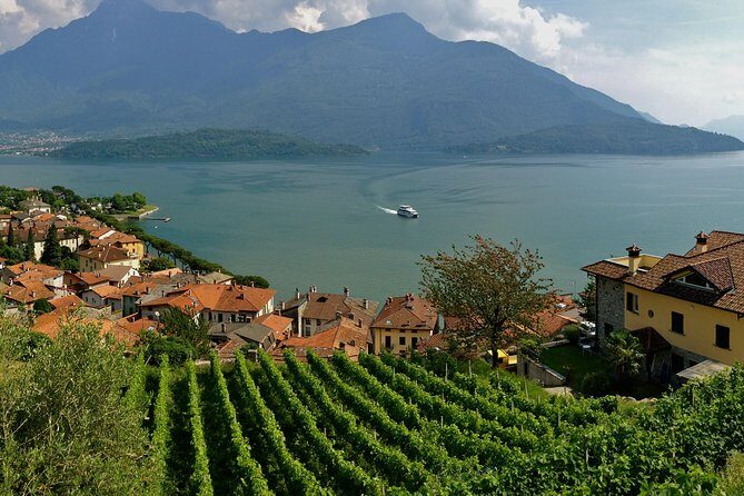 Domaso: Wine Tasting at the Winery on Como Lake - FAQs
