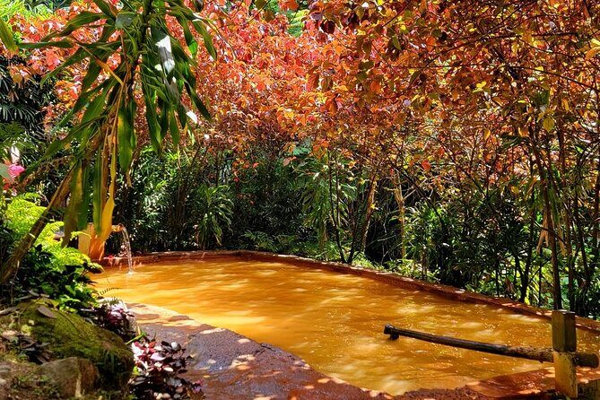 Dominica Adventure Hiking, Swimming, and Hot Springs Tour - Key Points