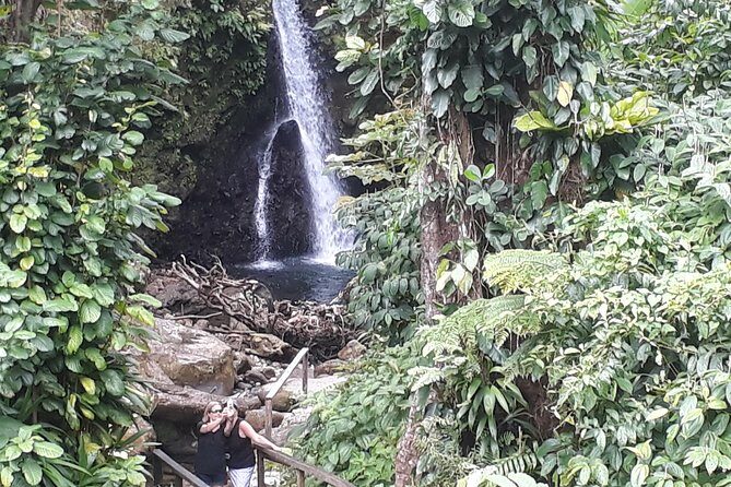 Dominica Half-Day Tour: Mero Beach, Waterfalls, Mineral bath Wotten Waven - A Deep Dive into the Dominica Half-Day Tour