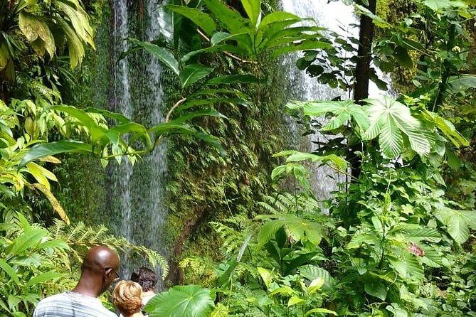 Dominica Half-Day Tour: Mero Beach, Waterfalls, Mineral bath Wotten Waven - Final Thoughts: Is It Worth It?