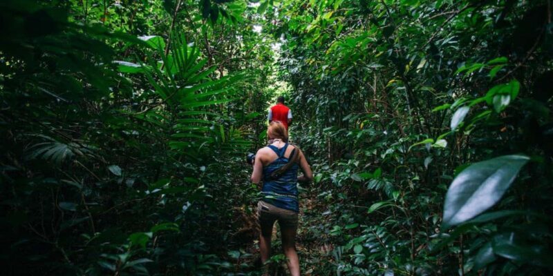 Dominica Hiking Adventures - An Honest Look at Dominica Hiking Adventures