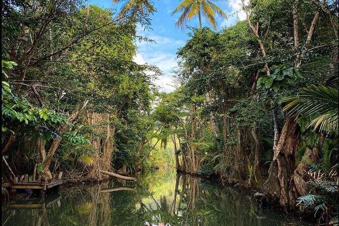 Dominica Indian River Discovery & Beach stop. - Final Thoughts: Is This Tour Right for You?