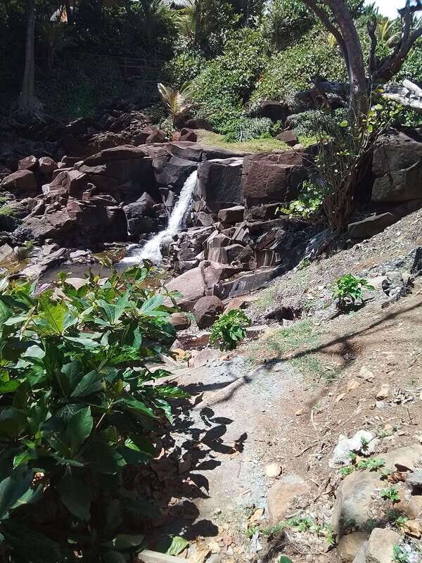 Dominica: Indian village, Hidden gems & British Battle Fort. - Exploring Dominica’s Highlights: A Closer Look at the Tour