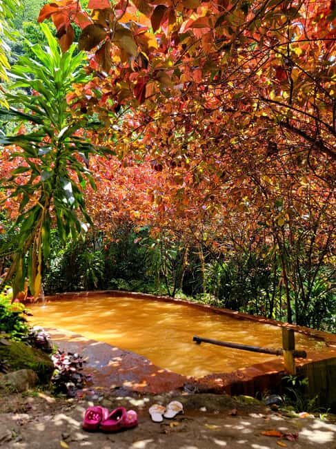 Dominica: Middleham Falls, Titou Gorge, and Trafalgar Falls - Middleham Falls: The Showstopper