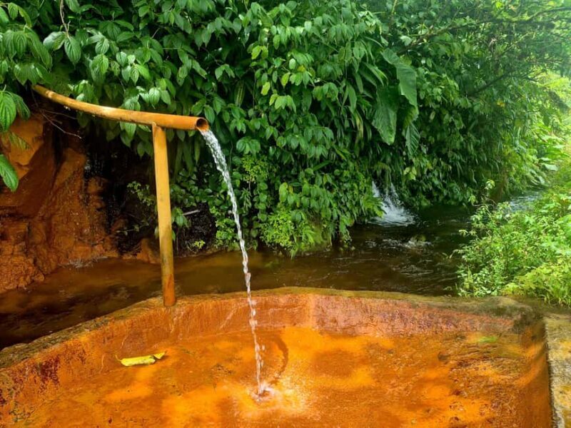 Dominica: Middleham Falls, Titou Gorge, and Trafalgar Falls - Trafalgar Falls: Dominica’s Iconic Waterfalls