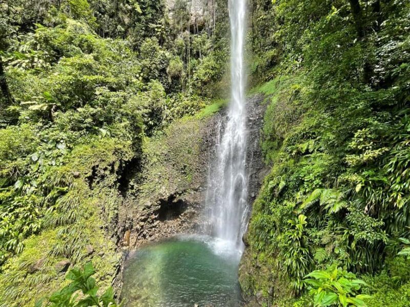 Dominica: Rain Forest Adventure with Waterfall Swim - Final Thoughts