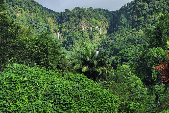 Dominica Scenic Waterfalls and Hot Springs @ Autop Tours - A Practical Look at the Dominica Scenic Waterfalls and Hot Springs Tour