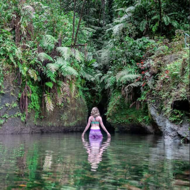 Dominica Waterfalls Chasing and Snorkeling Experience - Who Will Love This Tour?