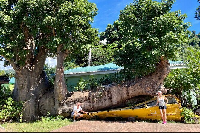 Dominica Waterfalls Chasing Experience - A Closer Look at the Waterfalls Chasing Experience in Dominica