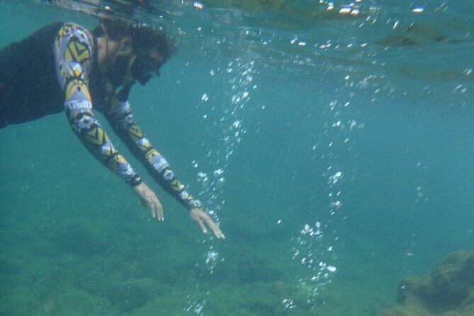 Dominica Waterfalls Chasing Experience - Who Should Book This Tour?