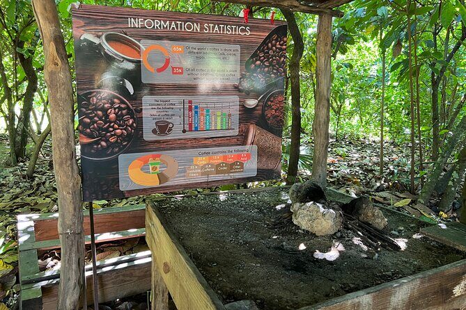 Dominican Culture Tour - Frequently Asked Questions