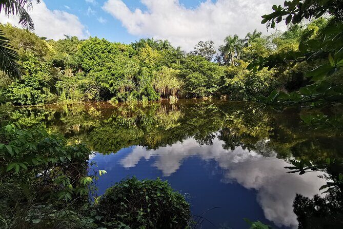 Dominican FLAVOR & COUNTRYSIDE SAFARI Pick-up Included - Key Points