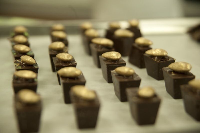 Dominican Republic: 3-Hour Chocolate Lovers Tour - Who Will Love This Tour?