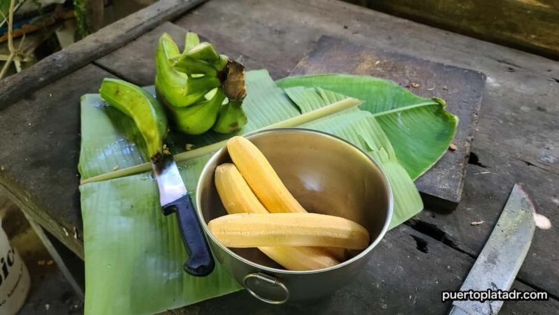 Dominican Republic Countryside Safari Tour from Puerto Plata - Final Thoughts