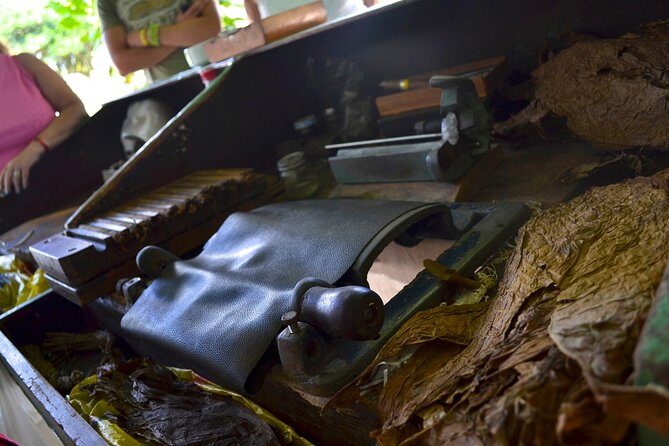 Dominican Republic Countryside Safari Tour from Punta Cana - Frequently Asked Questions