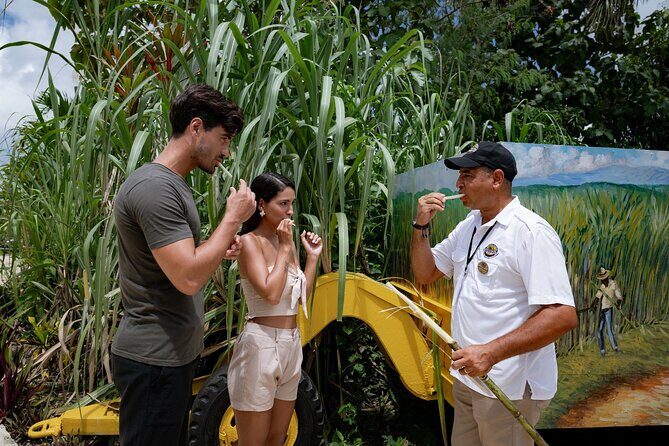 Dominican Safari Adventure: Culture, Nature & Macao Beach - Dominican Safari Adventure: Culture, Nature & Macao Beach