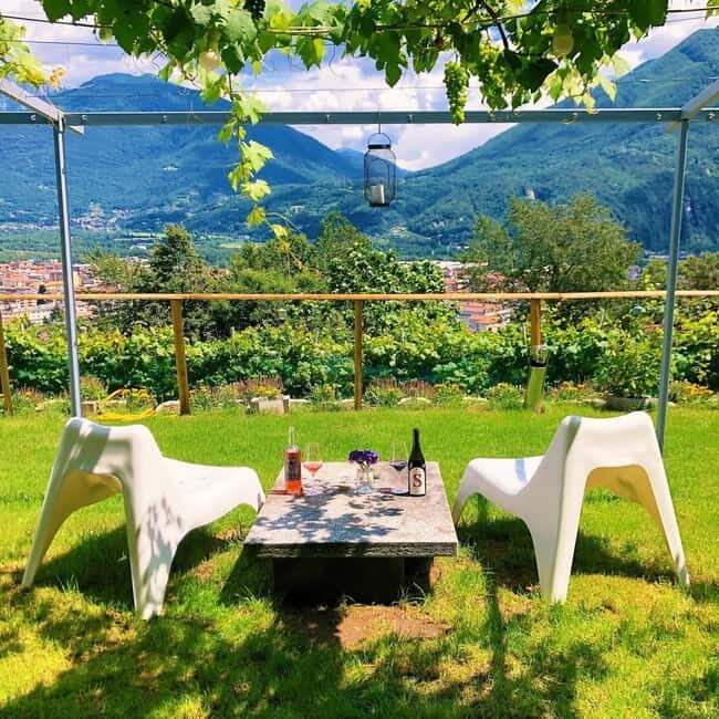 Domodossola: Savor Wines & Local Treats in a Scenic Vineyard - The Value and Practicalities