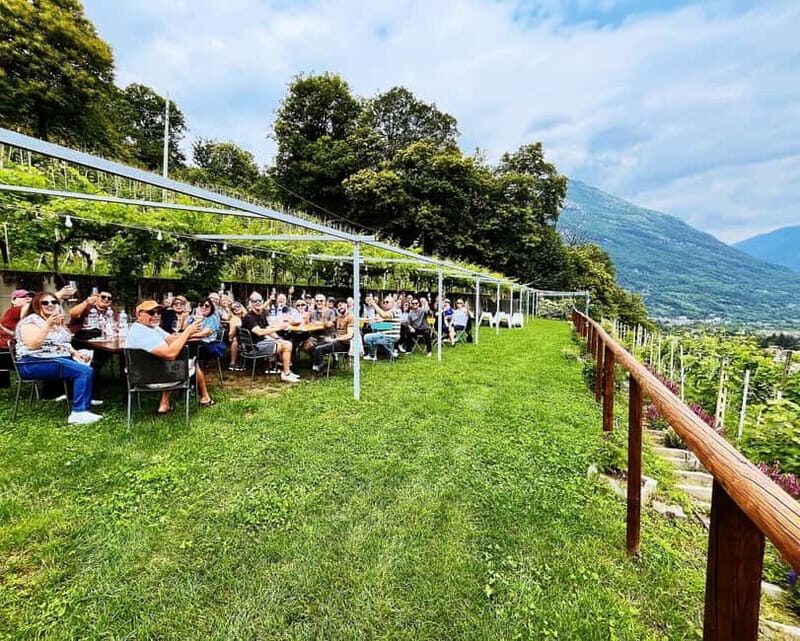 Domodossola: Savor Wines & Local Treats in a Scenic Vineyard - Authenticity and Experience