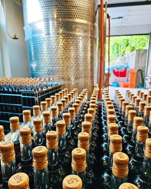 Domodossola: Savor Wines & Local Treats in a Scenic Vineyard - Who Should Consider This Tour?