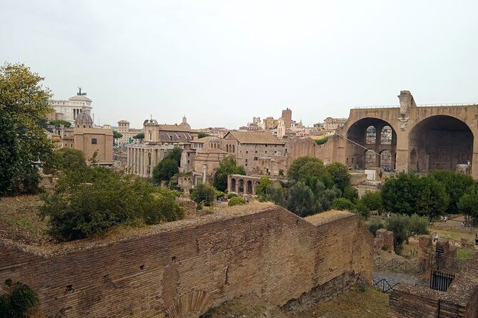 Domus Tiberiana and The Ruins of Ancient Rome Guided Tour - The Sum Up: Who Should Take This Tour?