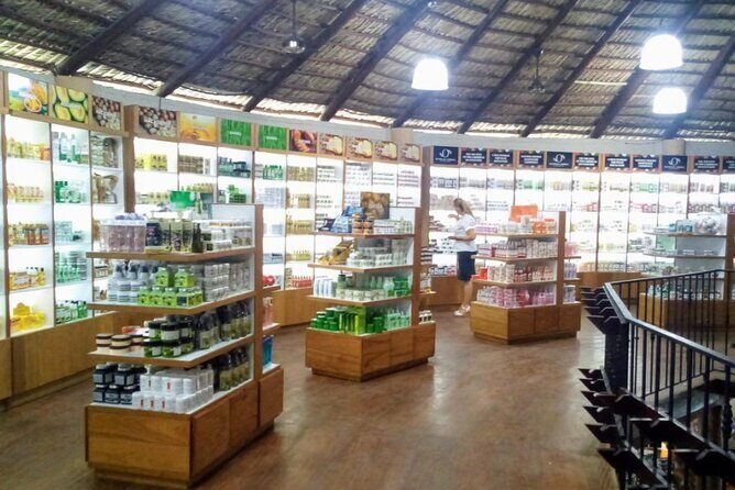 Don Lucas Cigar Factory & Store + Premium Rum Tasting (3 hours) - Who Will This Tour Suit Best?