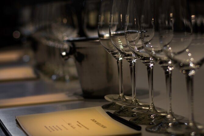 Don Melchor Premium Wine tour - Who Will Love This Tour?