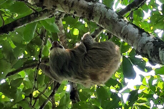 Don Olivo Chocolate Tour - Key Points