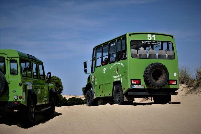 Doñana 4x4 and El Rocío Tour - Analyzing the Experience and Its Value