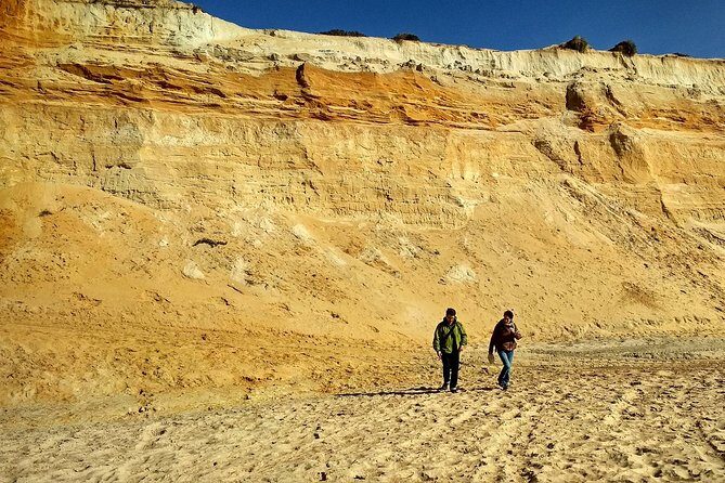 Donana National Park and El Rocío: Guided Tour from Seville - Practical Overview and What You’ll Experience