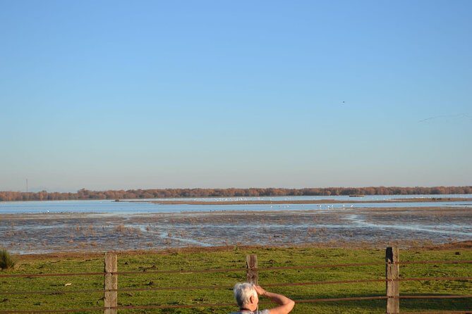Donana National Park and El Rocío: Guided Tour from Seville - Transportation and Group Size