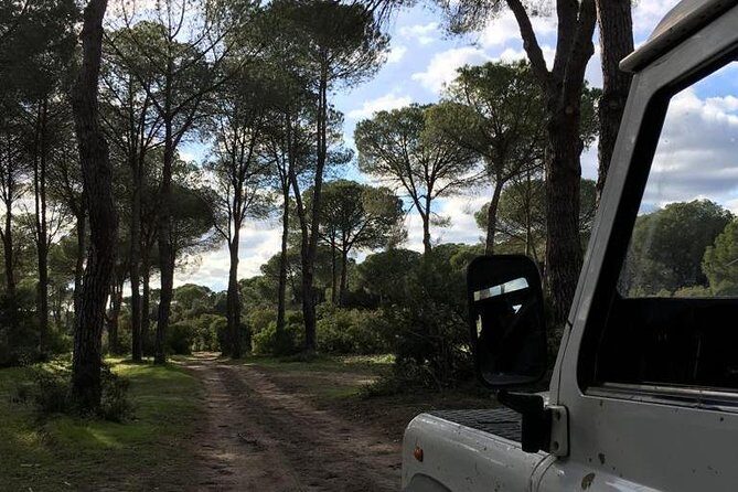 Donana National Park and El Rocío: Guided Tour from Seville - Cost and Value