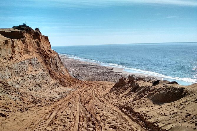 Donana National Park and El Rocío: Guided Tour from Seville - Who Might Want to Consider Alternatives?