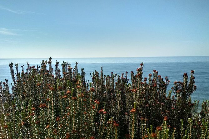 Donana National Park and El Rocío: Private Tour from Seville - Final Thoughts: Is This the Trip for You?