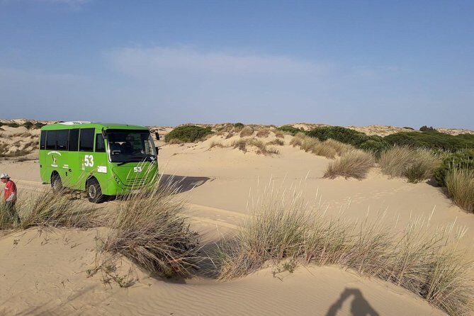 Doñana National Park in 4x4 and El Rocío - An In-Depth Look at the Doñana & El Rocío Tour
