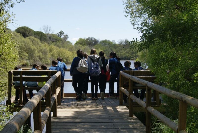 Doñana National Park Off-Road Tour from Seville - Exploring Doñana National Park from Seville: A Nature Lover’s Dream