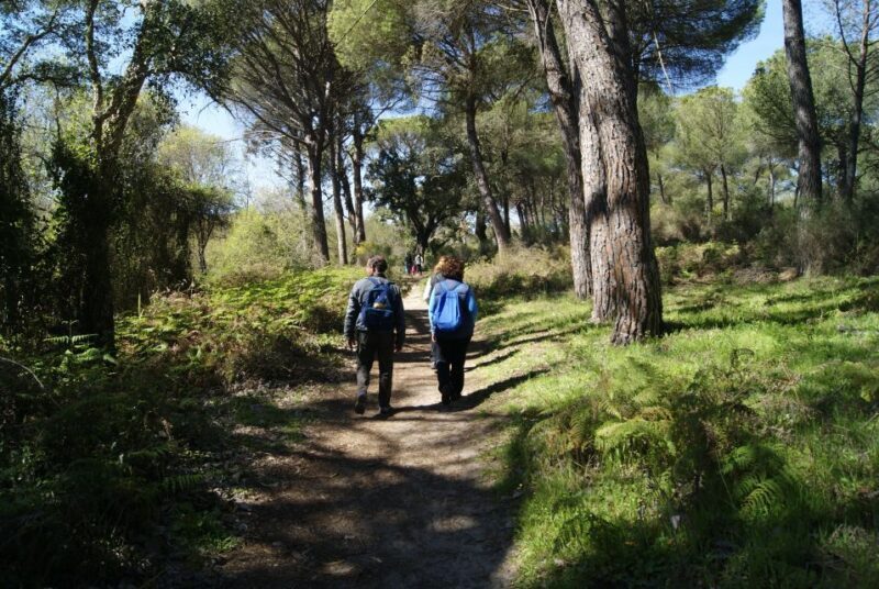 Doñana National Park Off-Road Tour from Seville - Who Will Love This Tour?