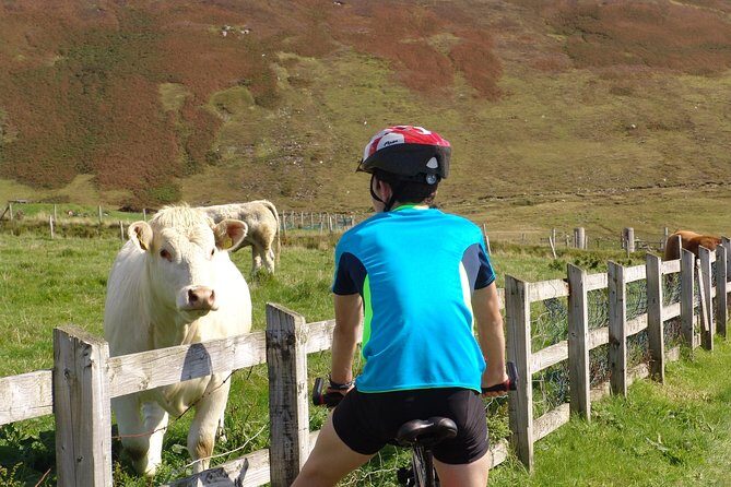Donegal Coast One Day Self-Guided E-Bike Tour - What Makes This Tour Stand Out